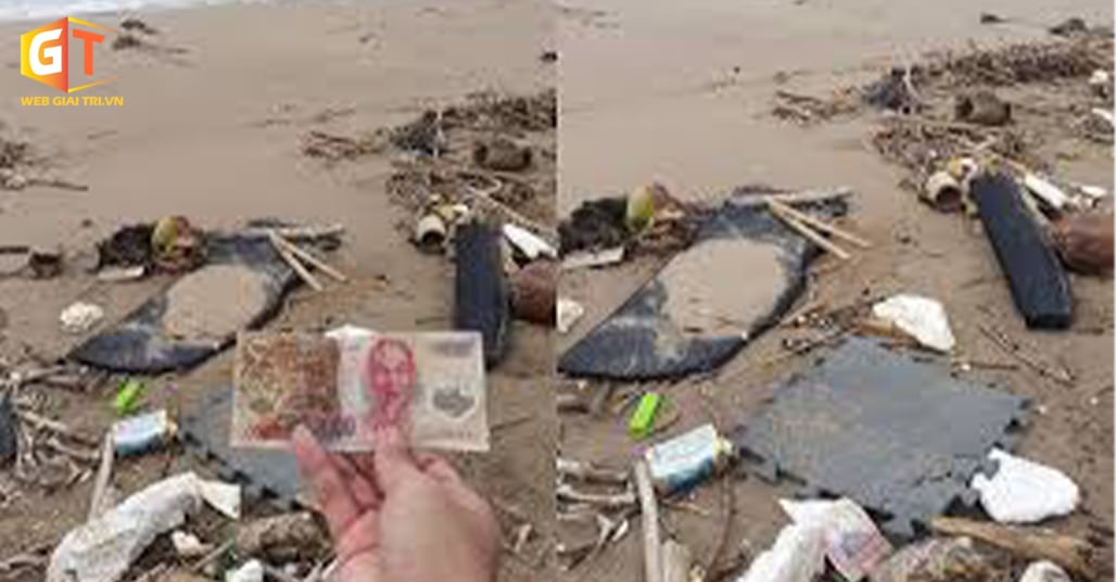 Ra tay dọn rác tại bãi biển, chàng trai vô tình nhặt được 200k: ‘Phần thưởng từ biển cả’ cho những người làm việc tốt?