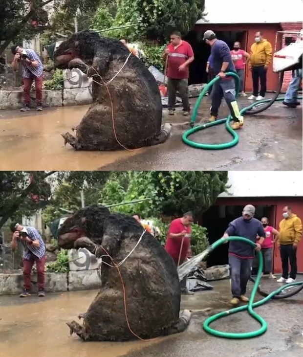 “Con chuột” khổng lồ chặn cống thoát nước gây ngập lụt nghiêm trọng khiến 1 người tử vong