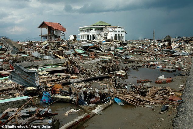 Treo ảnh thờ 17 năm mới biết người nhà còn sống sau sóng thần
