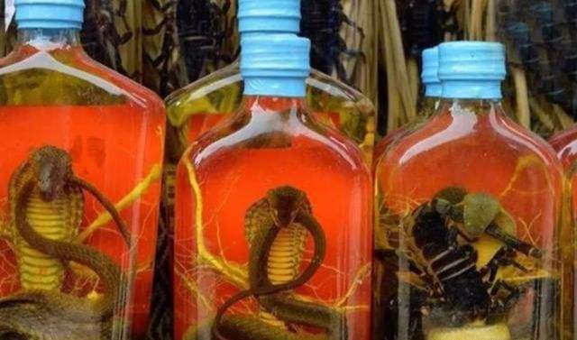 Đem rượu rắn ra mời khách, người đàn ông mất mạng vì rắn cắn: Ngâm 1 năm rắn vẫn sống!