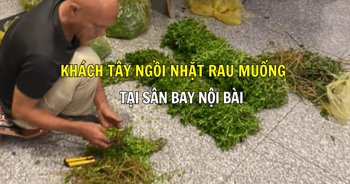 Khách tây ngồi nhặt rau muống tại sân bay Nội Bài